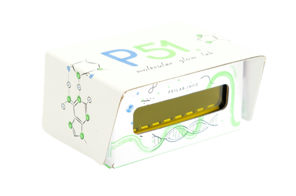 P51 moleküler ışıldayan lab.